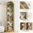 Open Bookcase,Arched Display Shelf-226919991