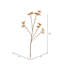 Artificial Illicium Verum Spray
