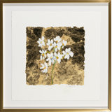 Gold & Narcissus Print by Robert Robinson