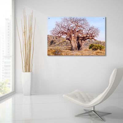 'The Giant Baobab' by Delene Lambert Acrylic Glass Wall Art