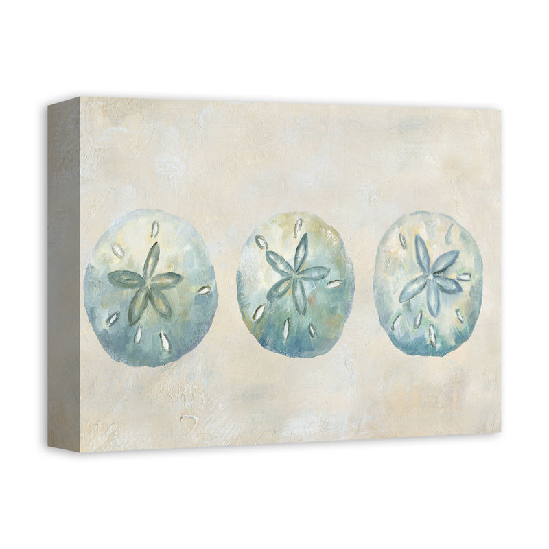 Sand Dollars sur toile, H 11 po x l 14 po x P 1,25 po