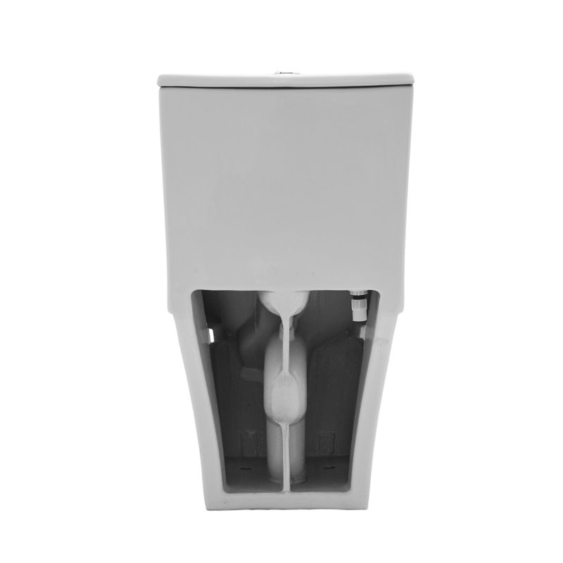 Toilette une pièce en céramique blanche à double chasse, siège brut à fermeture en douceur de 12 pouces et conception de siphon à jupe