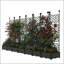 Planter Box