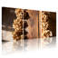 Dried Hydrangea on Wood Panel Canvas Wrapped Wall Art, Rustic Floral Print (Set of 3)-281738251