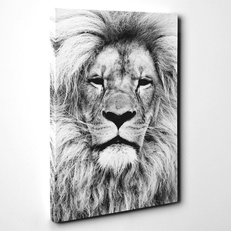 Wrapped Canvas Print, 76cm H x 50cm W