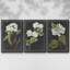 Ensemble de 3 toiles tendues à motif de botanique antique-97759817-97759822