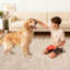 Tapis modernes à bordures lavables modernes pour la chambre à coucher, tapis doux et résistant aux taches et résistant aux taches-630675346-630675351