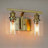 2-Light Dimmable Vanity Light