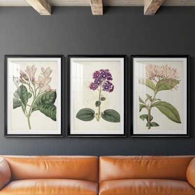 Antique Botanical Collection