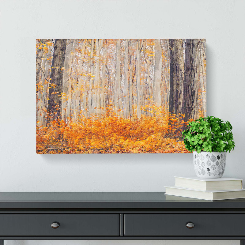 Orange Forest - Wrapped Canvas Print, 40cm H x 60cm W x 3cm D
