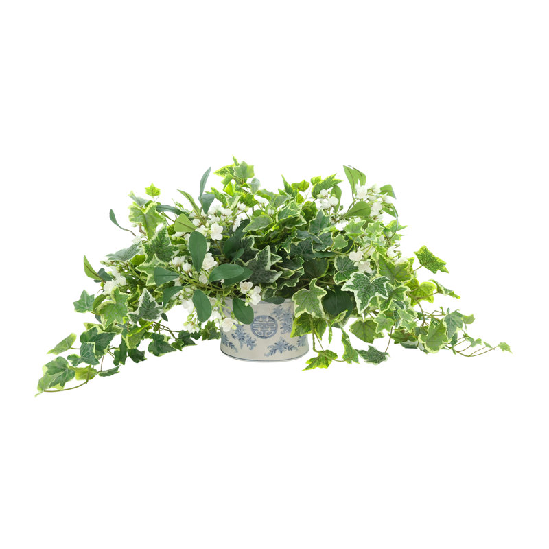 Lierre panaché et fleurs en herbe dans un vase décoratif