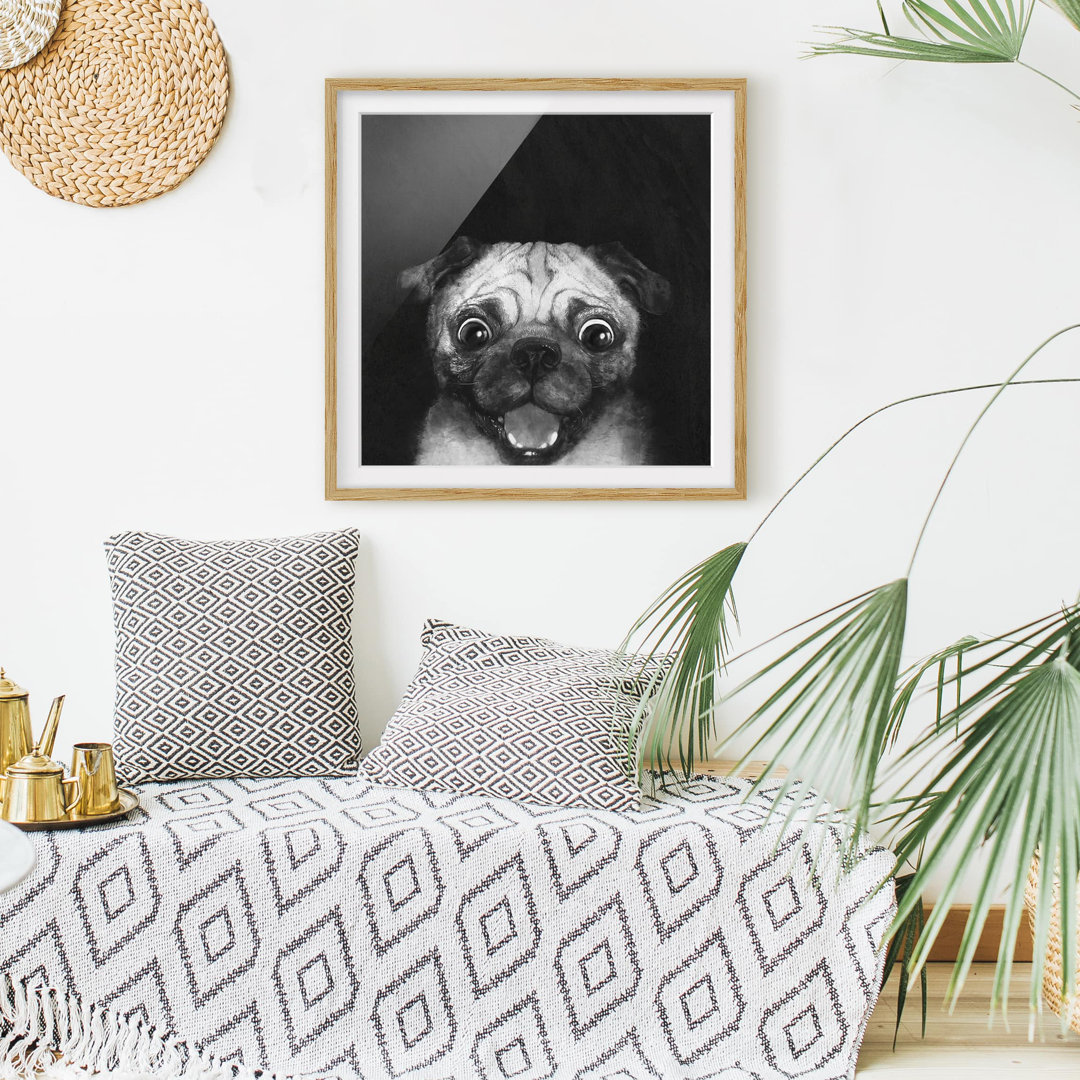 Gerahmtes Poster Illustration Hund Mops auf Schwarz Weiß