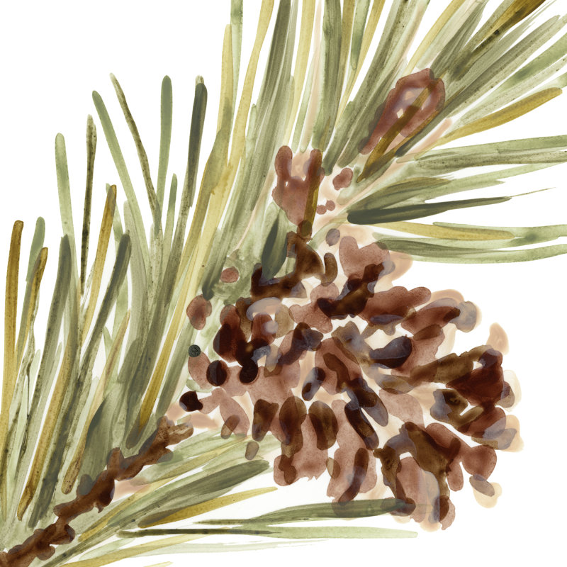 Simple Pine Cone I by June Erica Vess - Wrapped Canvas Painting, 76cm H x 76cm W