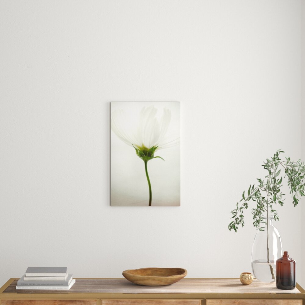 Leinwandbild White Cosmos