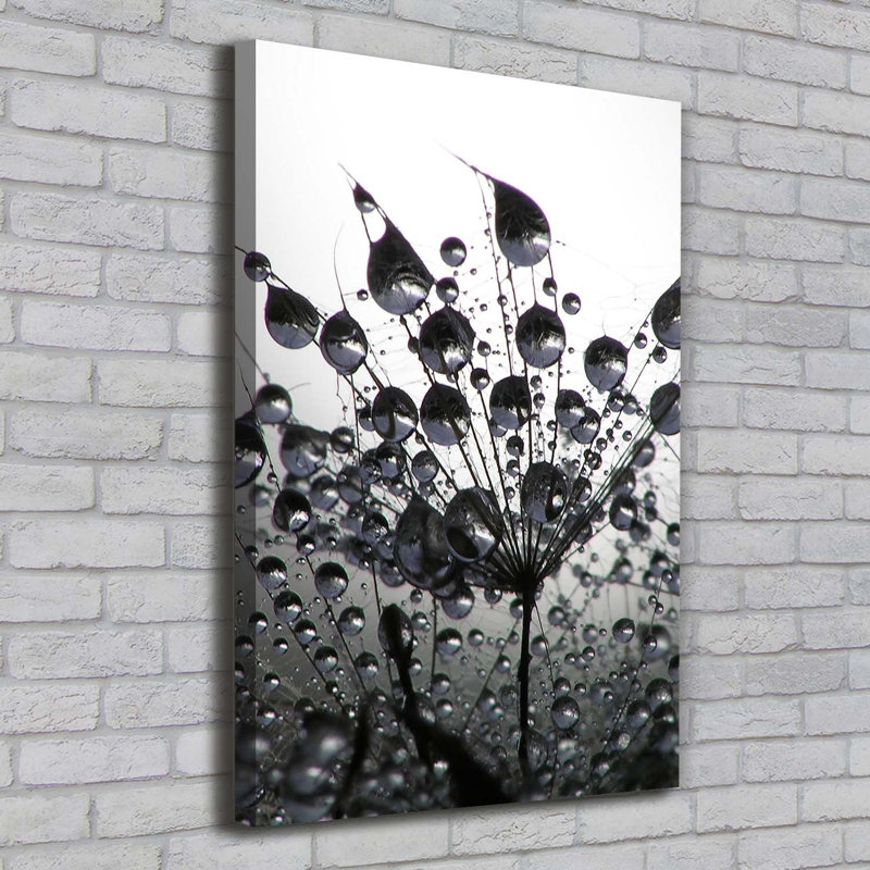 Dandelion Seeds - Wrapped Canvas Print