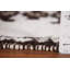 Tapis turc Anatolian