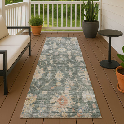 Machine Washable Indoor/Outdoor Francky ACN2355 Traditional Rug