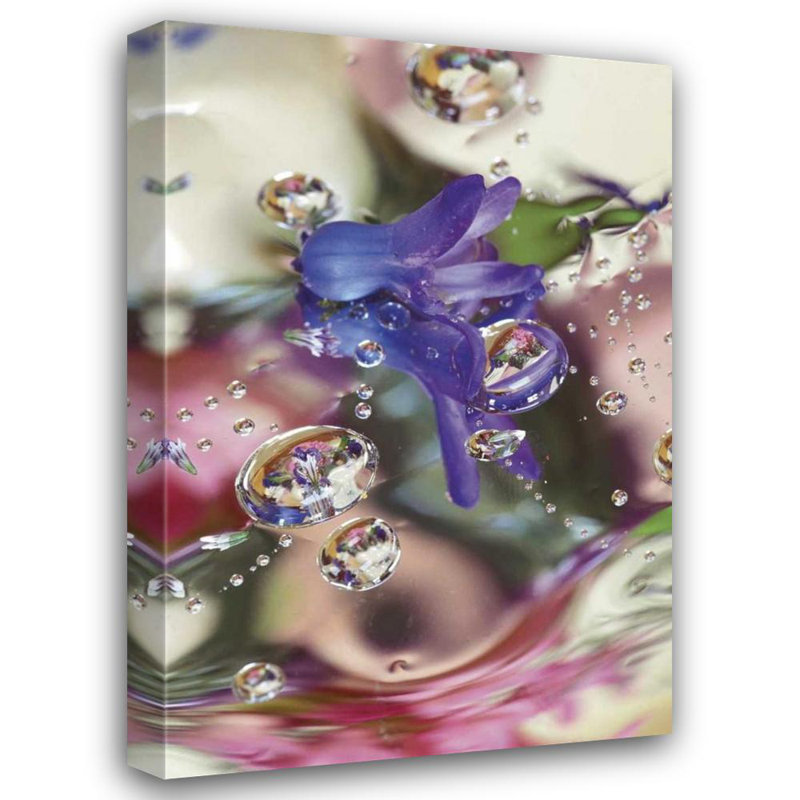 «Latitude Run® Rotenberg, Nancy», art sur toile tendue: Bourbon de jacinthe sur mylar avec reflets