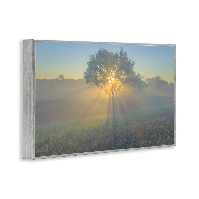 Art giclée sur un arbre lumineux par Marty Hulsebos, Estampe numérique Farmhouse, H 16 po x l 24 po