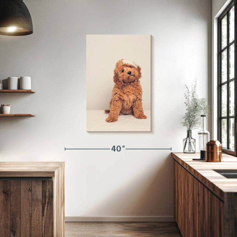 Cockapoo Puppy, 36" H x 24" W