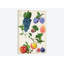«Fruit Collection II», impression sur toile-29176829-72791910-72791912