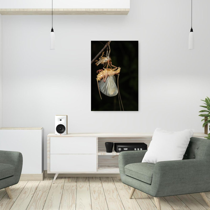 Change The New Shirt Abstract Contemporary Nature Wall Art Print by Nguyen Trung Dung - Print, 91.44cm H x 60.96cm W