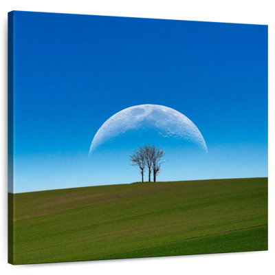 Oberle, crépuscule, lune et arbre