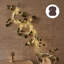 Cordes 10,16 po