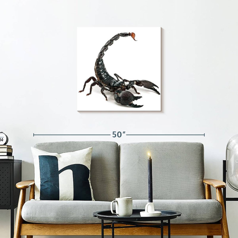 Crowle Scorpion, 24" H x 24" W