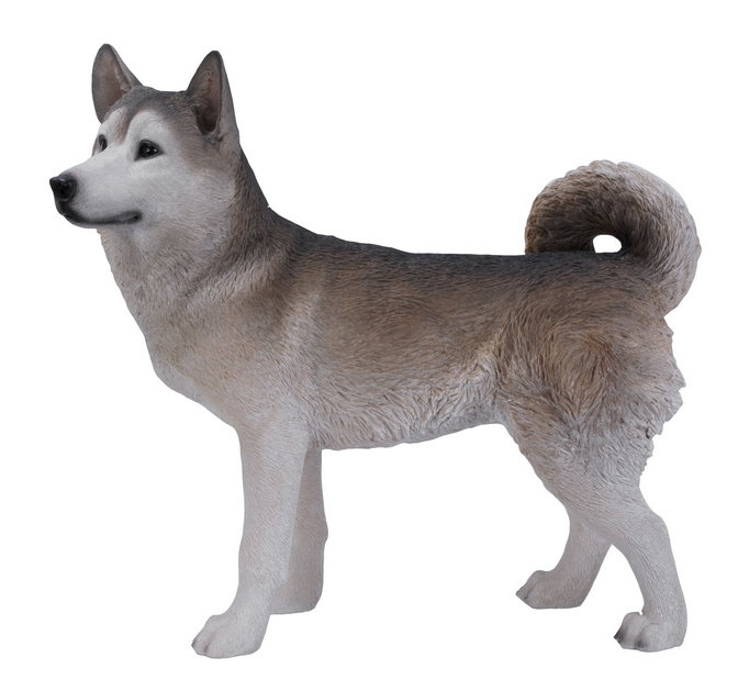 Statue pour chien sibérie husky