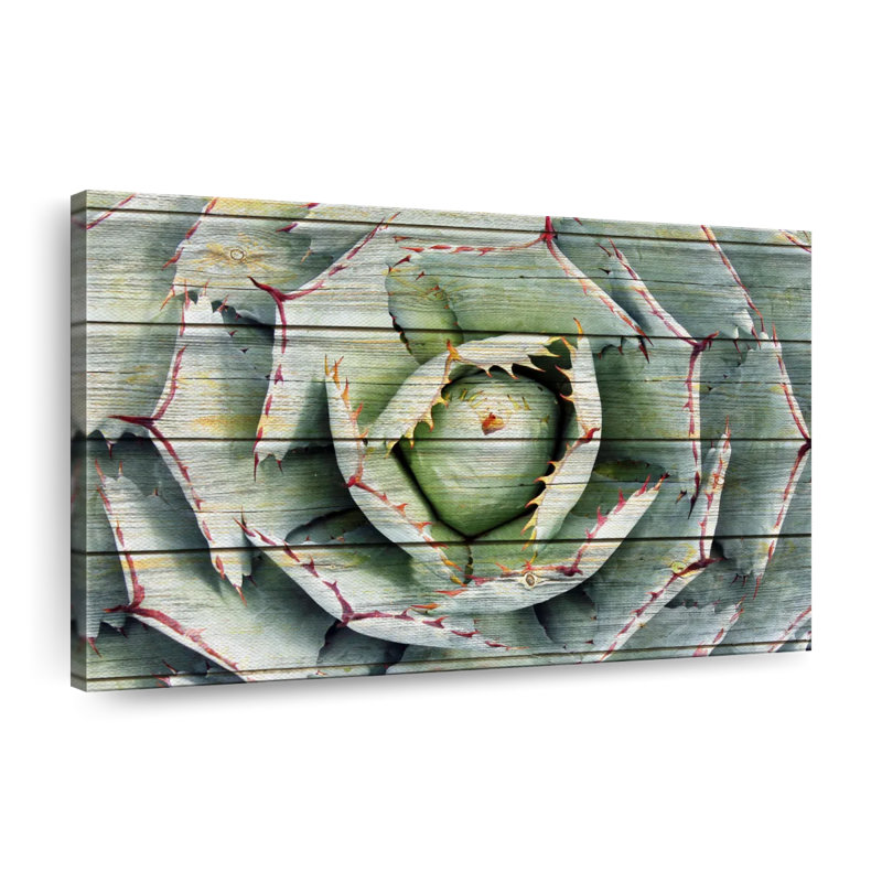 Agave rustique sur toile, H 20 po x l 30 po x P 1,25 po