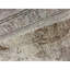 Sultanabad Hand-Knotted High-Quality Cream Area Rug