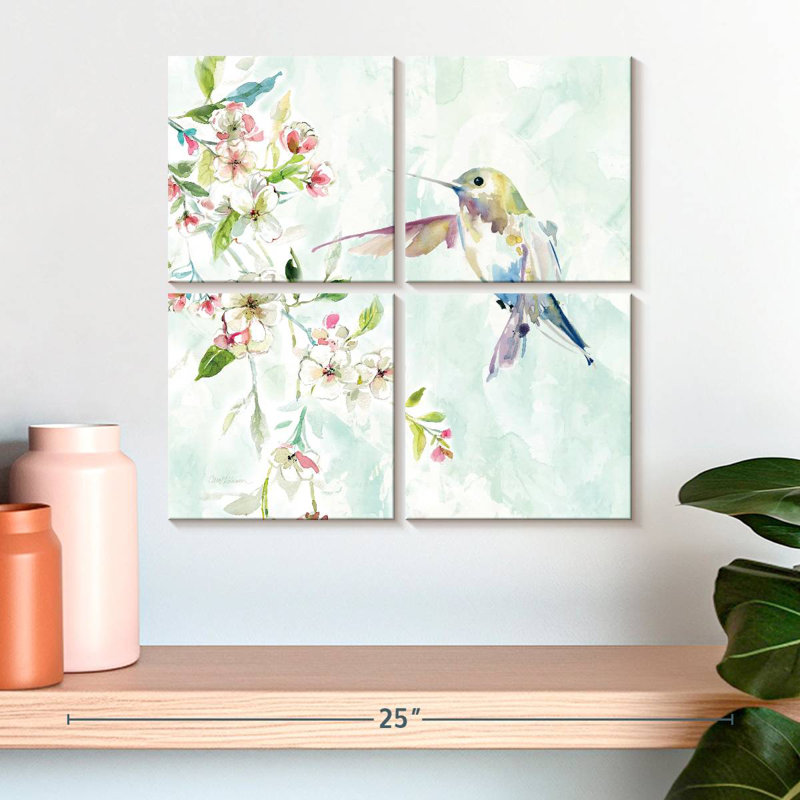 Colibri délicat Brampt IV