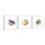 Sea Buddies Triptych par Rachel Byler - Ensemble de 3 reproductions de cadres photo sur papier-24799575-29691103