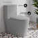 Dreux One Piece Elongated Dual Flush Toilet with 0.95/1.26 GPF