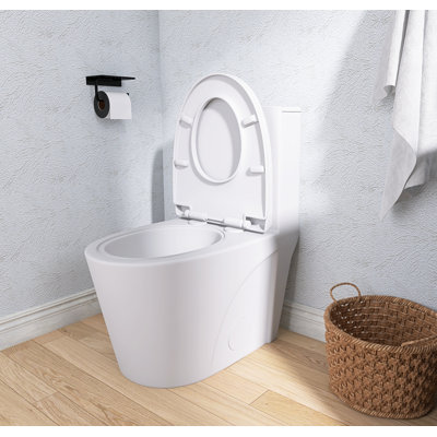 1.1/1.6 GPF Dual Flush Toilet, Comfort Height Elongated One Piece, Soft Close 1000g Map Flushing, Water Saving Floor Mounted -  YIZHILPPP, YIZHIW1920P171830