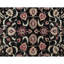 Wool Oriental Area Rug in Black