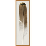 Feather 1 Print by Thom Filicia