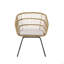 TERRY CHAIR,2PCS With 2 Cushions-960710650-960710649