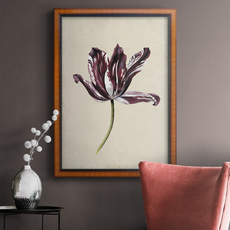 Antique Antique Tulip Study IV, toile encadrée de qualité supérieure - prête à être accrochée, H 20 po x l 16 po