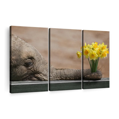 «Éléphant et jonquille jaune», 3 pièces