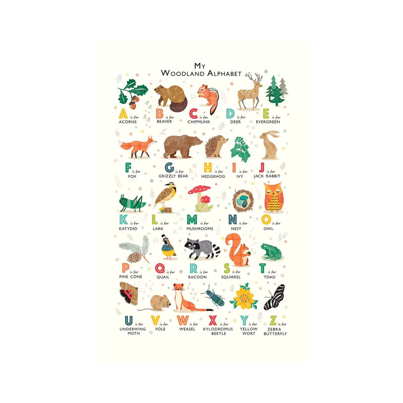 Woodland Alphabet - Wrapped Canvas Print, 30.48 cm H x 45.72 cm W