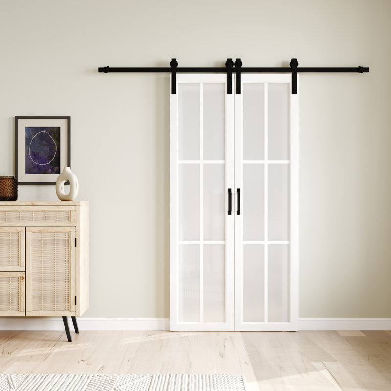 Porte de grange coulissante double en verre avec trousse de quincaillerie d'installation, 42 po x 84 po