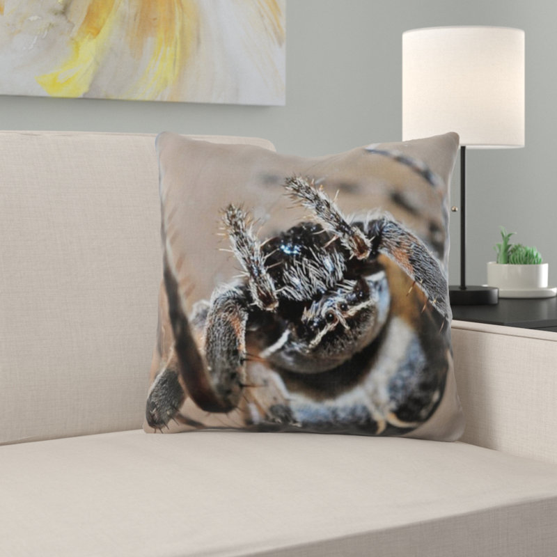 Coussin de spider