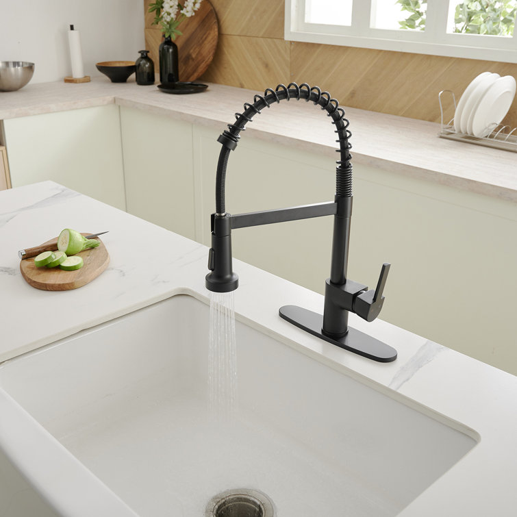 Pull Down Single Handle Kitchen Faucet with Accessories