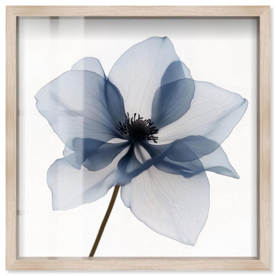 «Morning Petalia II Shadowbox», impression d'art floral bleu par Art Remedy