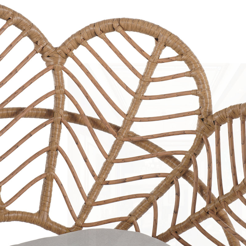 Ensemble de 2 chaises d'extérieur en osier