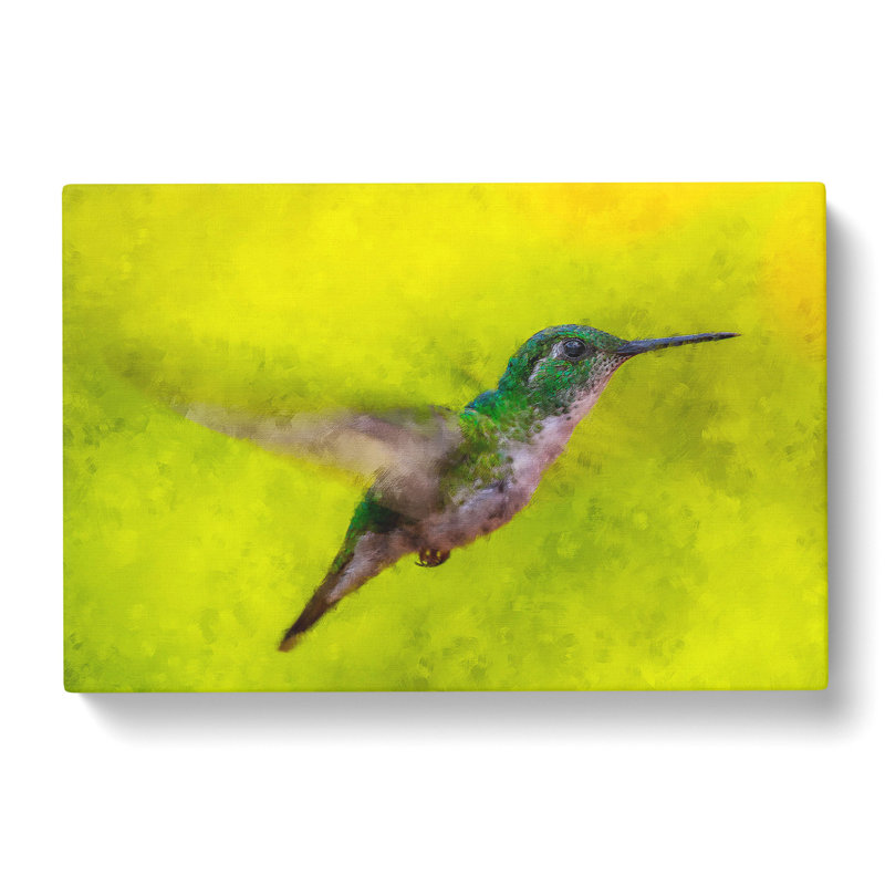 Hummingbird In Costa Rica - Wrapped Canvas, 35cm H x 50cm W x 3cm D