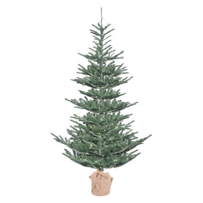 Alberta Blue Pre-Lit Spruce Christmas Tree