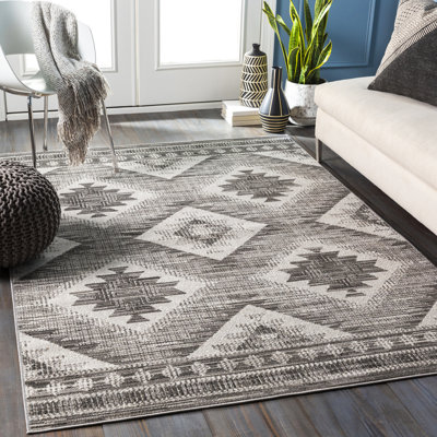 Hiller Indoor Rug